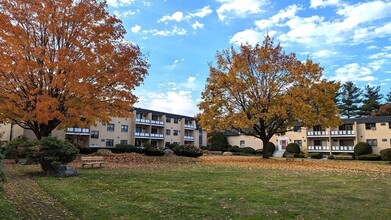 56 Bigelow Ave, Unit #1 in Watertown, MA - Building Photo - Building Photo