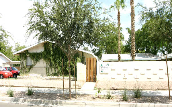 Palm Breeze Apartments in Tempe, AZ - Building Photo