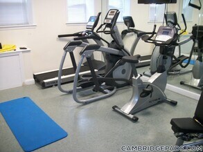 3 Chauncy St, Unit 19 in Cambridge, MA - Building Photo - Building Photo