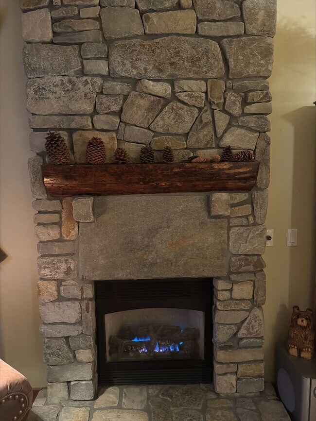 20 June St in Mammoth Lakes, CA - Building Photo - Building Photo