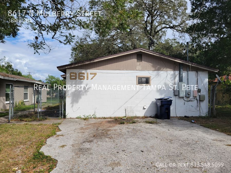 8617 N Mulberry St in Tampa, FL - Building Photo