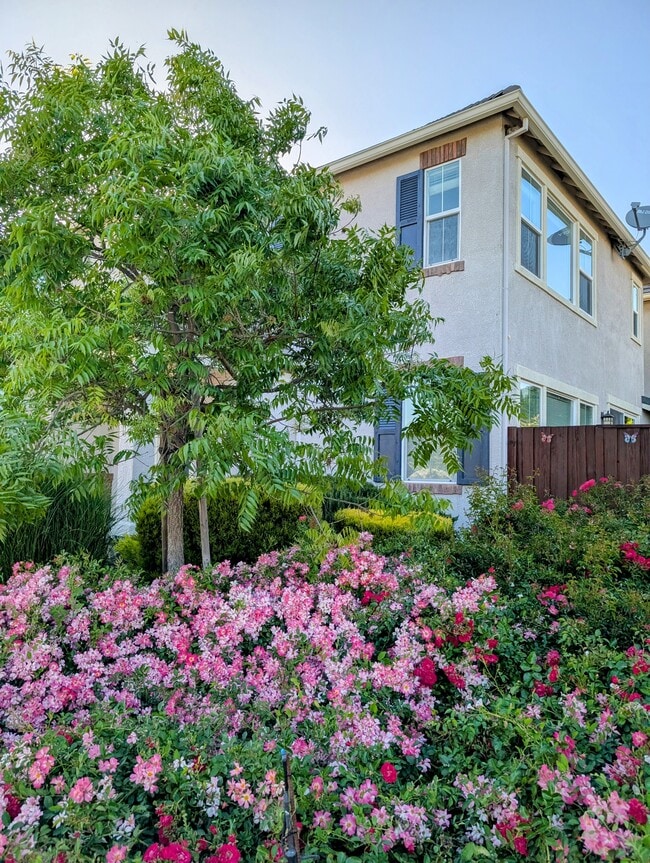 655 San Marino Ct in Morgan Hill, CA - Foto de edificio - Building Photo