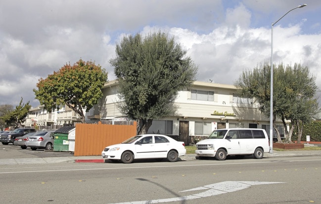 Olive Grove Apartments in Castro Valley, CA - Building Photo - Building Photo