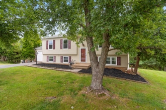 13355 Jasper Ct in Fairfax, VA - Building Photo - Building Photo