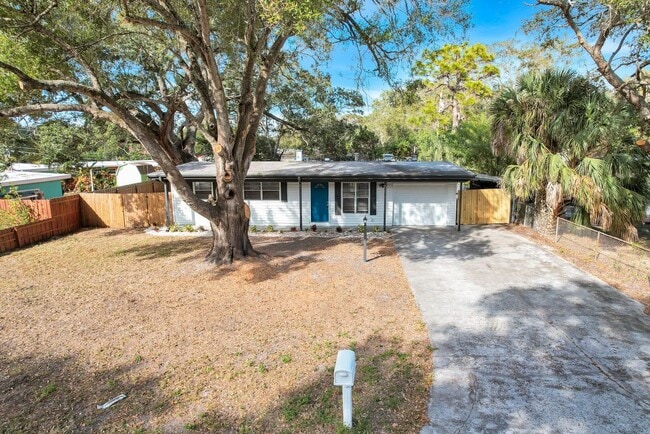 property at 1564 Scott St