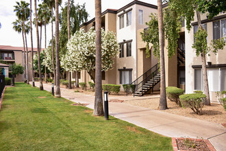 Cortina in Phoenix, AZ - Building Photo - Building Photo