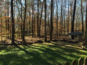 123 Bonaparte Dr in Hillsborough, NC - Building Photo - Building Photo