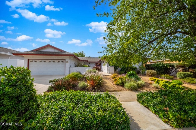 property at 1018 Calle Pinata