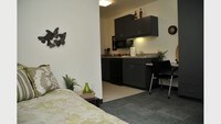 Building Photo - Studio Fifteen Apartamentos in San Diego, California