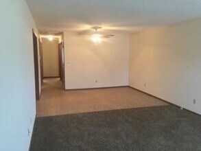 1017 S Lexington Ave in Springfield, MO - Building Photo - Building Photo