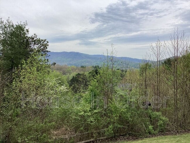 10 Whitaker Cir in Fairview, NC - Building Photo - Building Photo