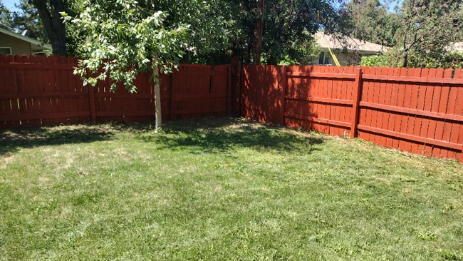 9679 W 22nd Pl in Lakewood, CO - Building Photo - Building Photo