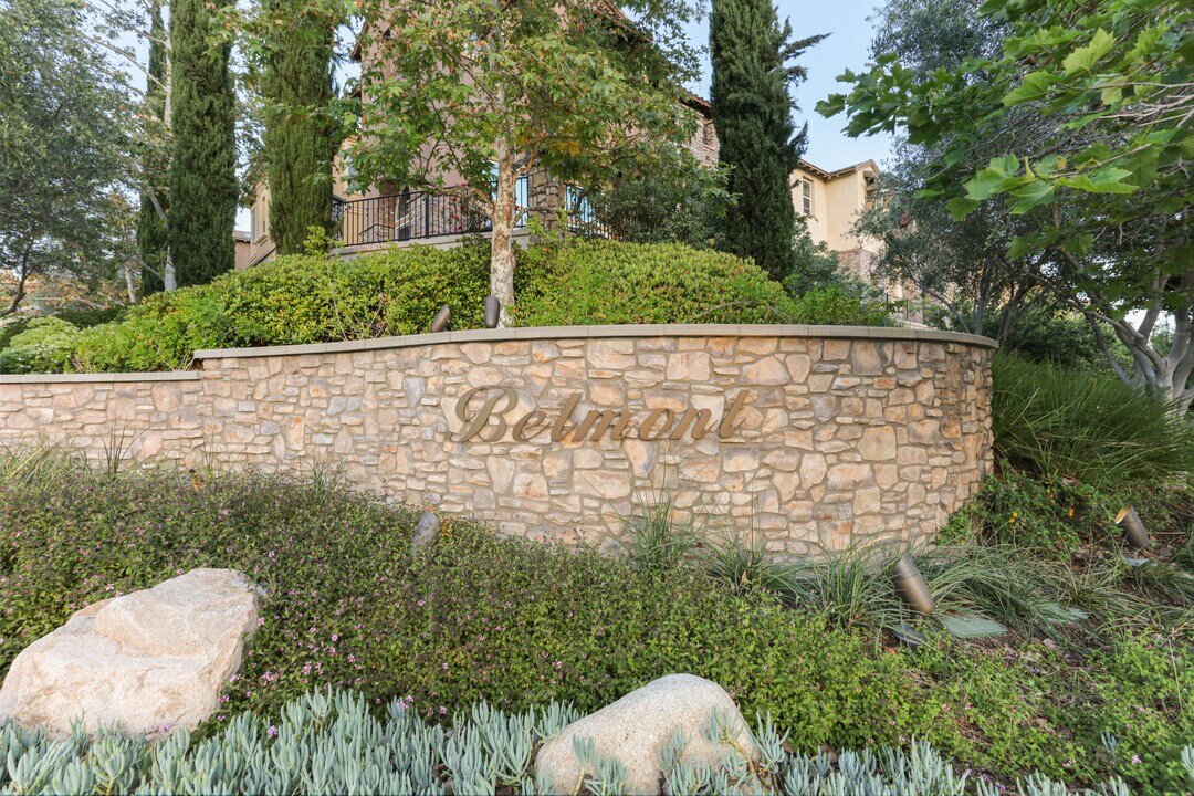 1341 Dolomite Way in San Marcos, CA - Building Photo