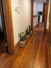 203 W Waldburg St, Unit First Floor in Savannah, GA - Foto de edificio - Building Photo