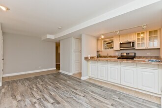 1427 W Winona St in Chicago, IL - Building Photo - Building Photo