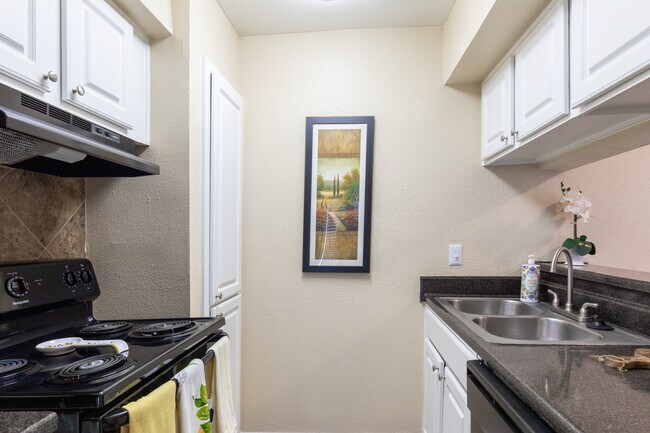 The Park at Pisa in Houston, TX - Foto de edificio - Interior Photo