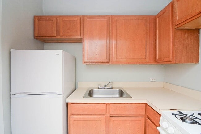 1169 N Dearborn in Chicago, IL - Foto de edificio - Building Photo