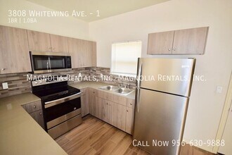 3808 Whitewing Ave, Unit 1 in Edinburg, TX - Building Photo - Building Photo