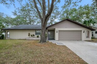 8613 White Springs Dr in New Port Richey, FL - Building Photo