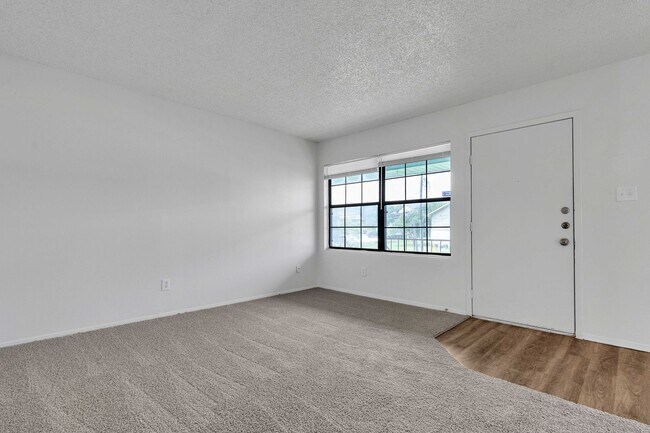 106 Lady Bird Ln in San Marcos, TX - Building Photo - Building Photo