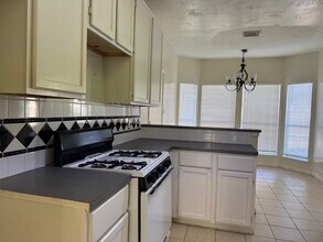 19214 Carpet Bagger Dr in Katy, TX - Building Photo - Building Photo