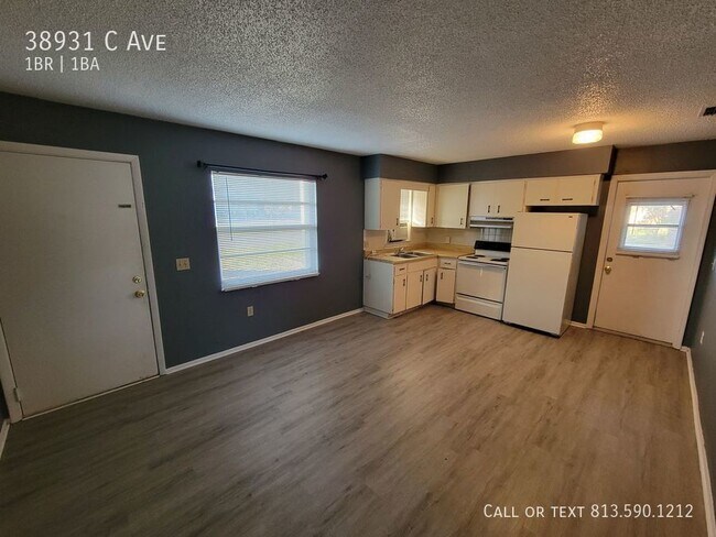 38931 C Ave in Zephyrhills, FL - Building Photo - Building Photo