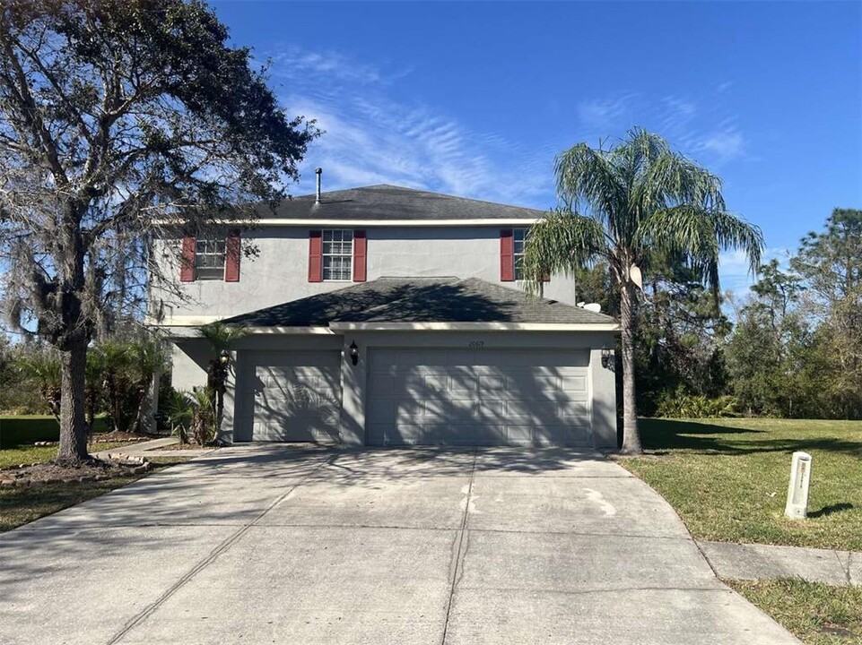 20619 Whitebud Ct in Tampa, FL - Building Photo