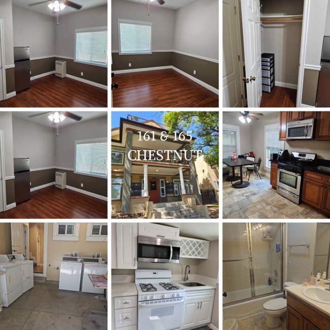 property at 161 Chestnut St