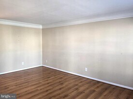 157 Darling St in Newark, DE - Building Photo