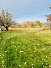 1567 N 1400 E in Lehi, UT - Foto de edificio - Building Photo