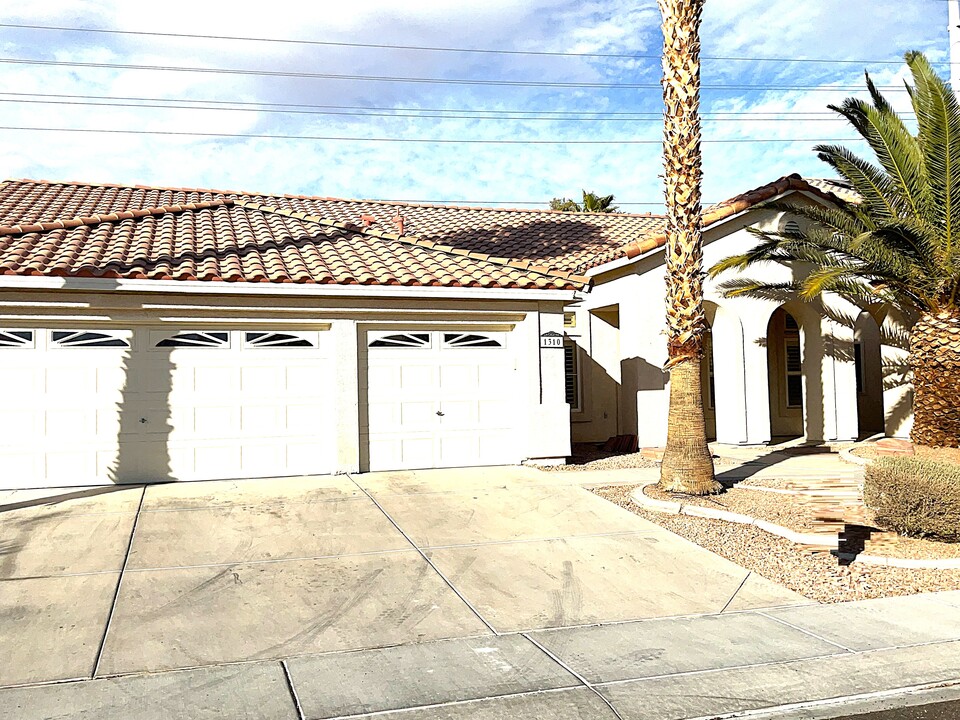 1310 Big Tree Ave in North Las Vegas, NV - Building Photo