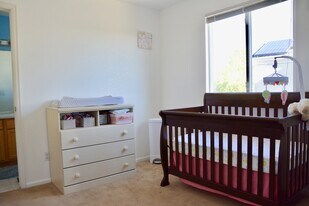 1487 Brimble Dr in Erie, CO - Building Photo