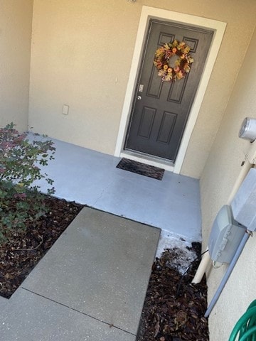 9745 Hound Chase Dr in Gibsonton, FL - Foto de edificio - Building Photo