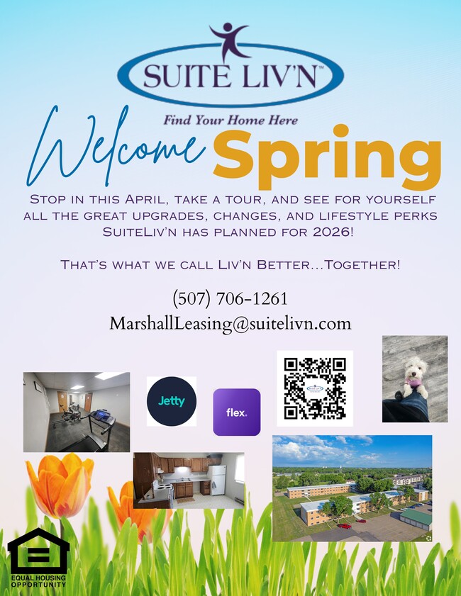 Suite Liv'n - Marshall