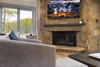 70 Gallun Ln in Snowmass Village, CO - Building Photo - Building Photo