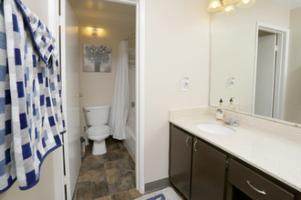 Pinewood Terrace Apartments in San Jose, CA - Building Photo - Interior Photo