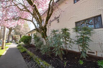 1813 NE Schuyler St in Portland, OR - Building Photo - Building Photo