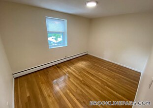 63 Parkman St, Unit 1A in Brookline, MA - Building Photo - Building Photo