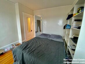 11 Parkton Rd, Unit #3 in Boston, MA - Building Photo - Building Photo