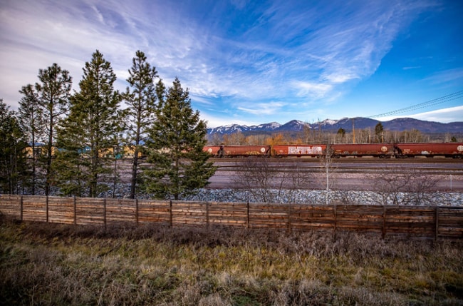 156 Wild Rose Ln in Whitefish, MT - Building Photo - Building Photo