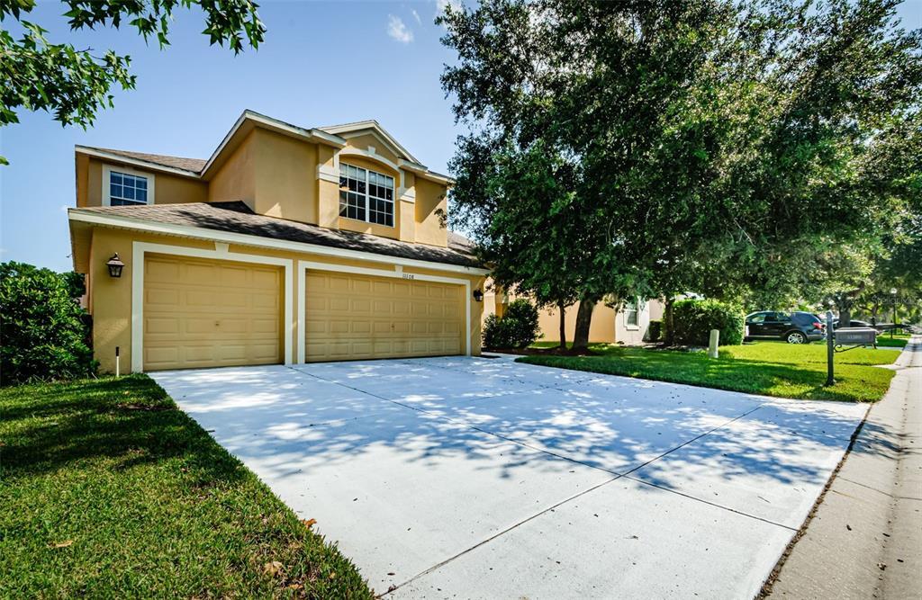 11108 Belle Haven Dr in New Port Richey, FL - Building Photo