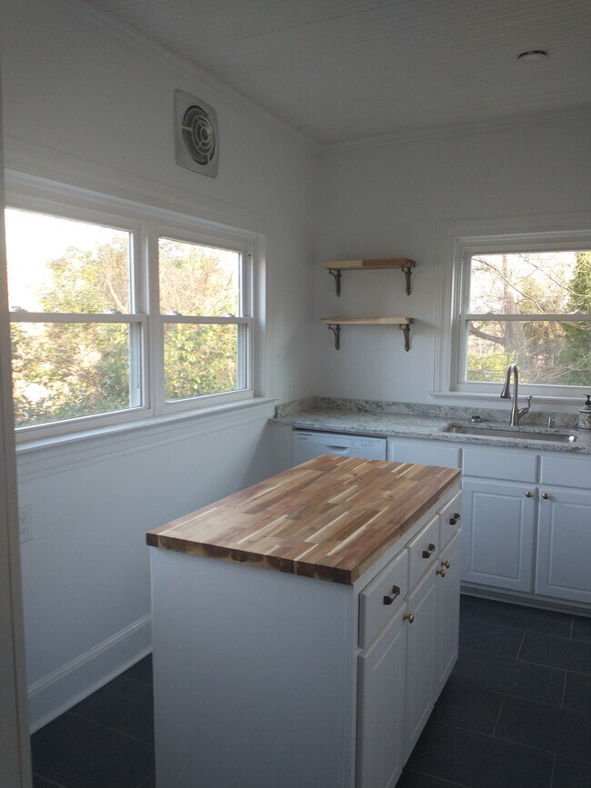 121 Mount Vernon Ave, Unit 121 Mt. Vernon in Danville, VA - Building Photo - Building Photo