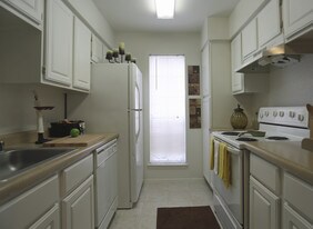 Rockridge Park Apartments in Houston, TX - Building Photo