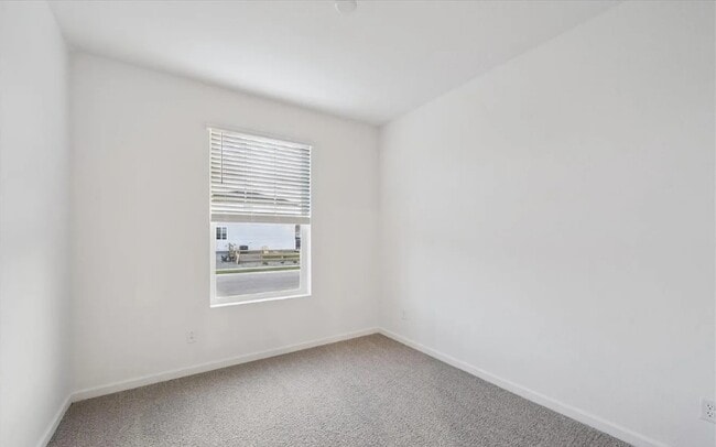 920 Steppe Ln in Windsor, CO - Building Photo - Building Photo