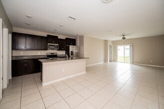 17958 Beaming Rays Ln in Lutz, FL - Building Photo - Building Photo