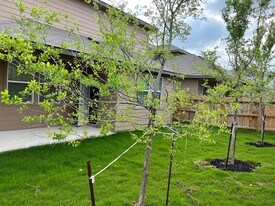 13915 Borolanite Dr in San Antonio, TX - Building Photo