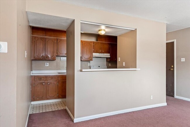 117 S Elder Ln in Decatur, IL - Building Photo - Building Photo