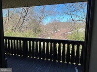 419 Shawmont Ave photo'