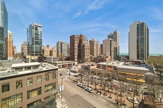 1030 N State St in Chicago, IL - Foto de edificio - Building Photo