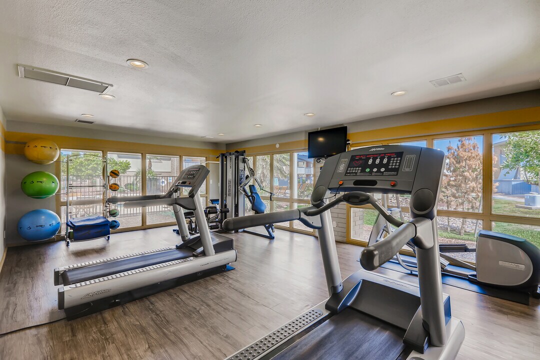 Ponderosa Ranch Photo